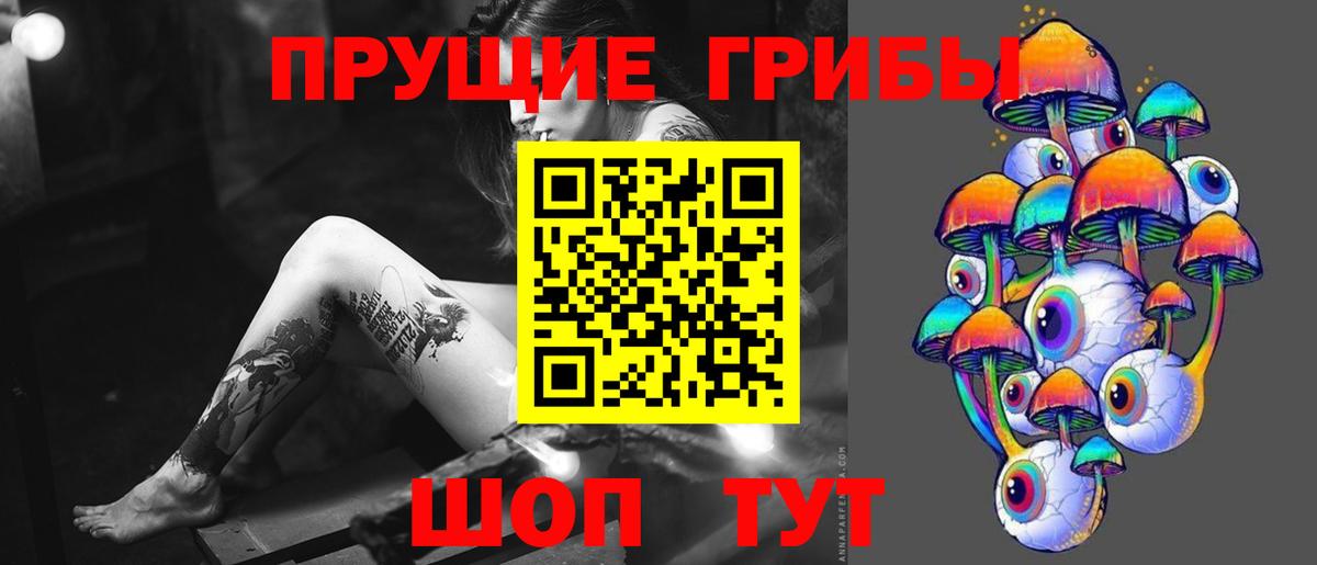 Галлюциногенные грибы ЛСД  как найти закладки  Вход с VPN  Ртищево  Псилоцибиновые грибы мухоморы 